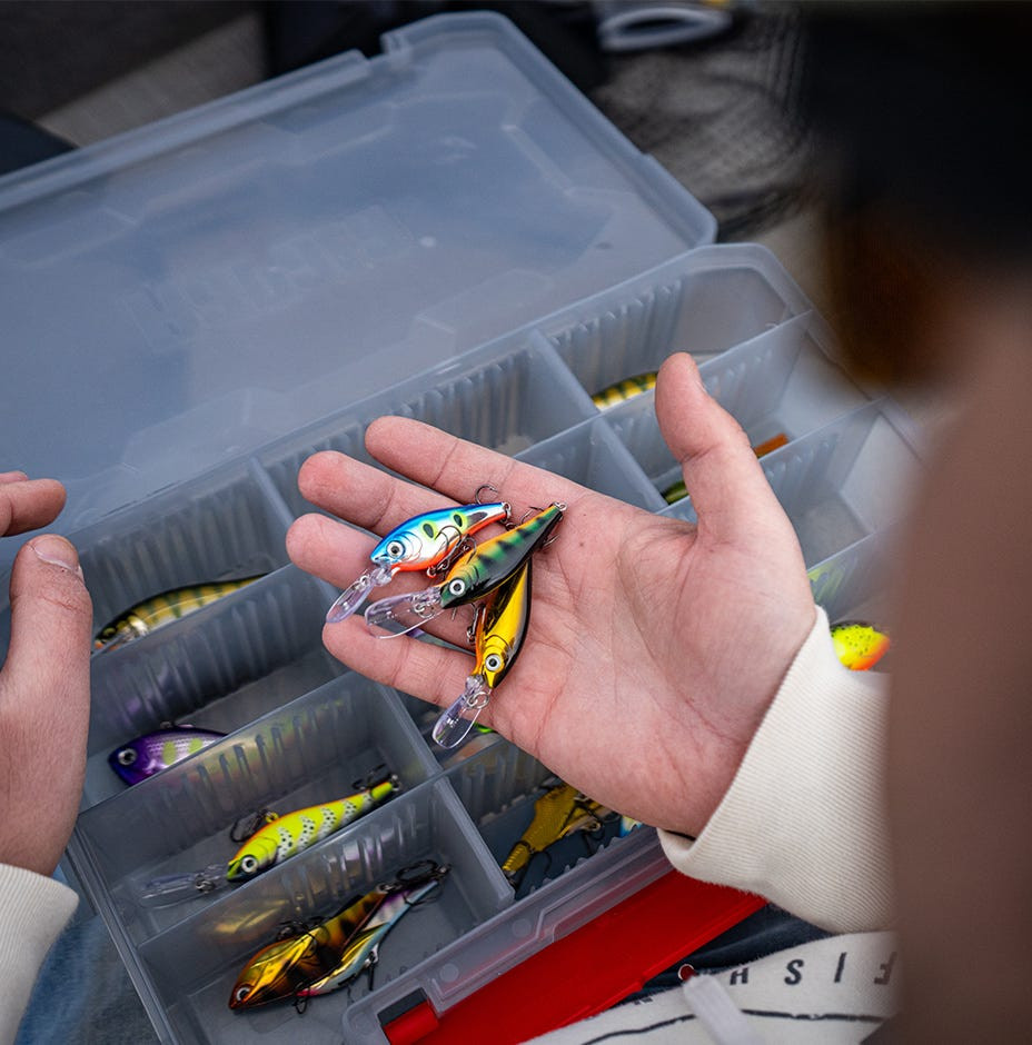 Воблер Rapala Harvest Shad 07 / HVSD07-G — фото 3