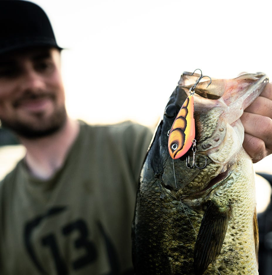 Воблер Rapala Snare 50 / SN50-PCHB — фото 2