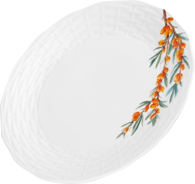 Тарелка столовая обеденная Fissman Sea Buckthorn 13020