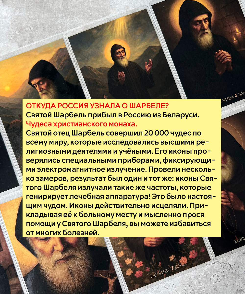 Икона Wolves Об Исцелении Святой Целитель Шарбель с молитвой 5411 — фото 3