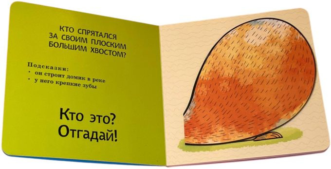 Развивающая книга Эксмо Интерактивные загадки. Кто здесь прячется? твердая обложка (змея) — фото 2