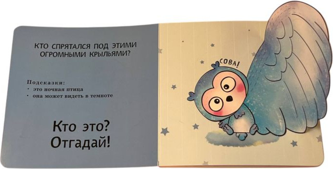 Развивающая книга Эксмо Интерактивные загадки. Кто здесь прячется? твердая обложка (коала) — фото 3