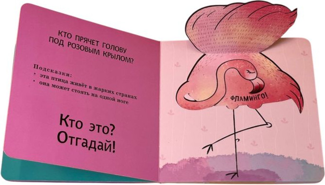 Развивающая книга Эксмо Интерактивные загадки. Кто здесь прячется? твердая обложка (собака) — фото 5