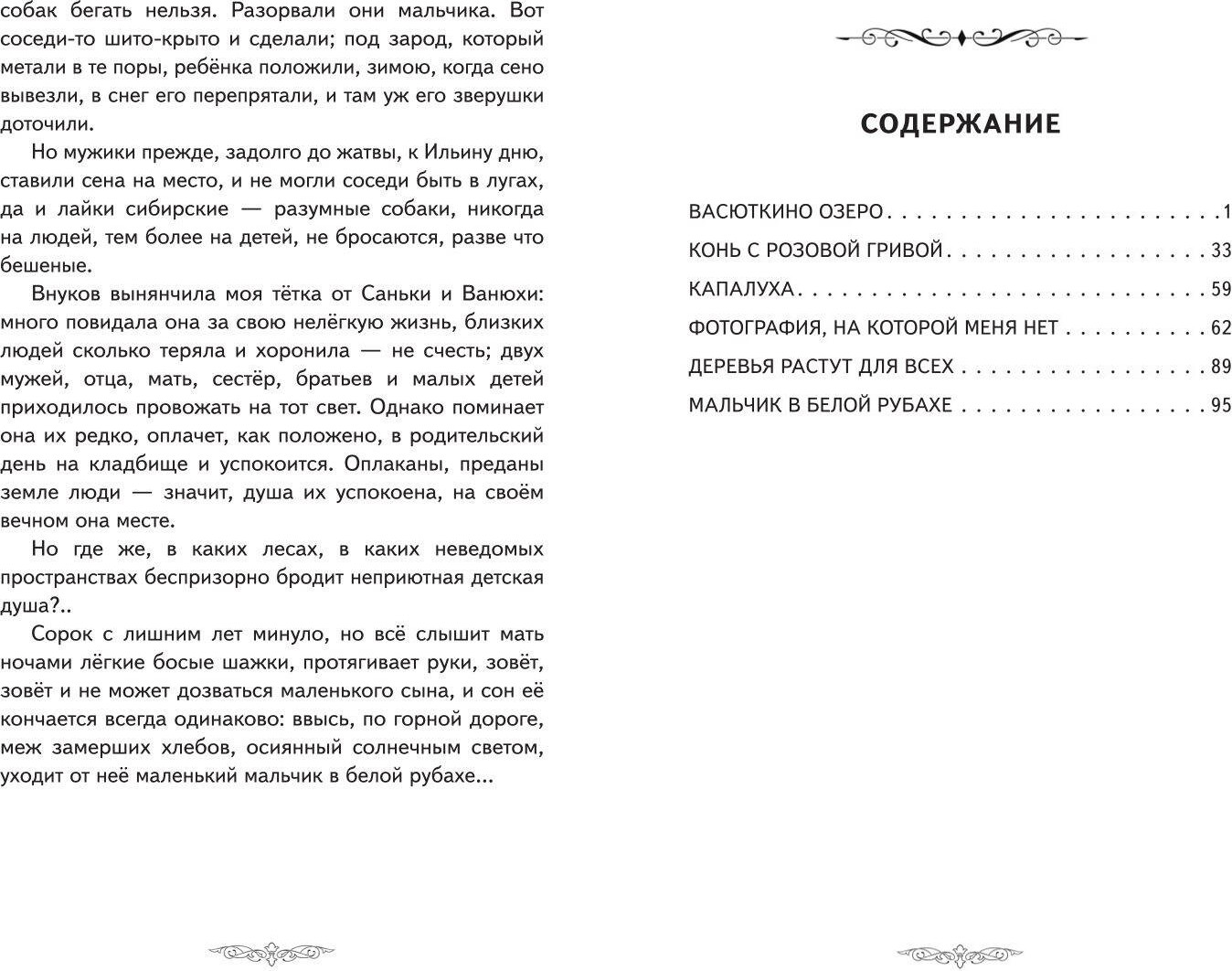 Художественная книга Эксмо Васюткино озеро. Рассказы (9785042330193 Астафьев В.П.) — фото 6