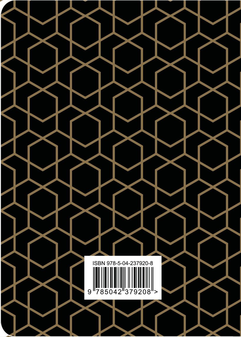 Записная книжка Бомбора CashBook. Мои доходы и расходы. 7-е издание (9785042379208 графика) — фото 2