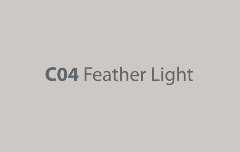 Краска CONDOR Color Matt Feather Light С04 (3.4кг) — фото 2