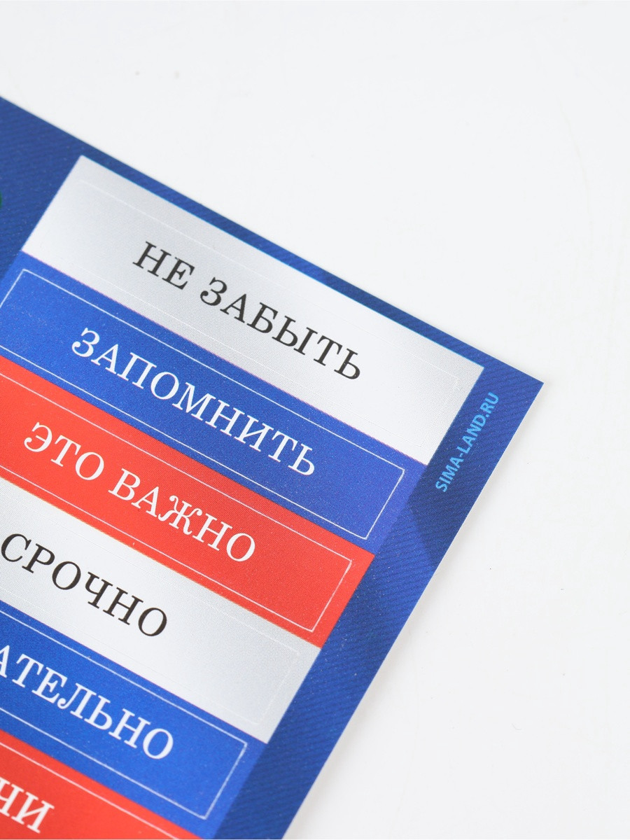 Набор канцелярский подарочный ArtFox Первому во всем / 10888052 — фото 6
