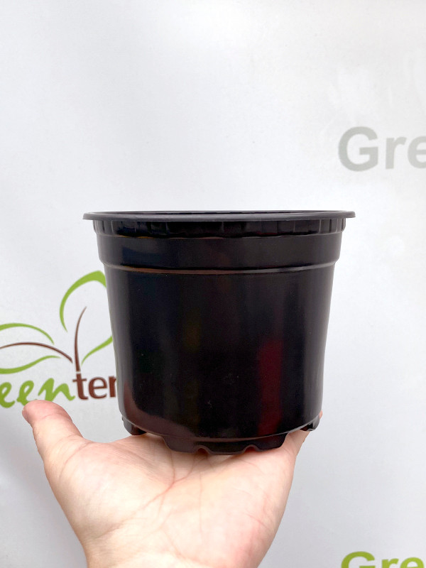 Набор горшков для рассады GreenTerra С7.5 (50шт) — фото 2