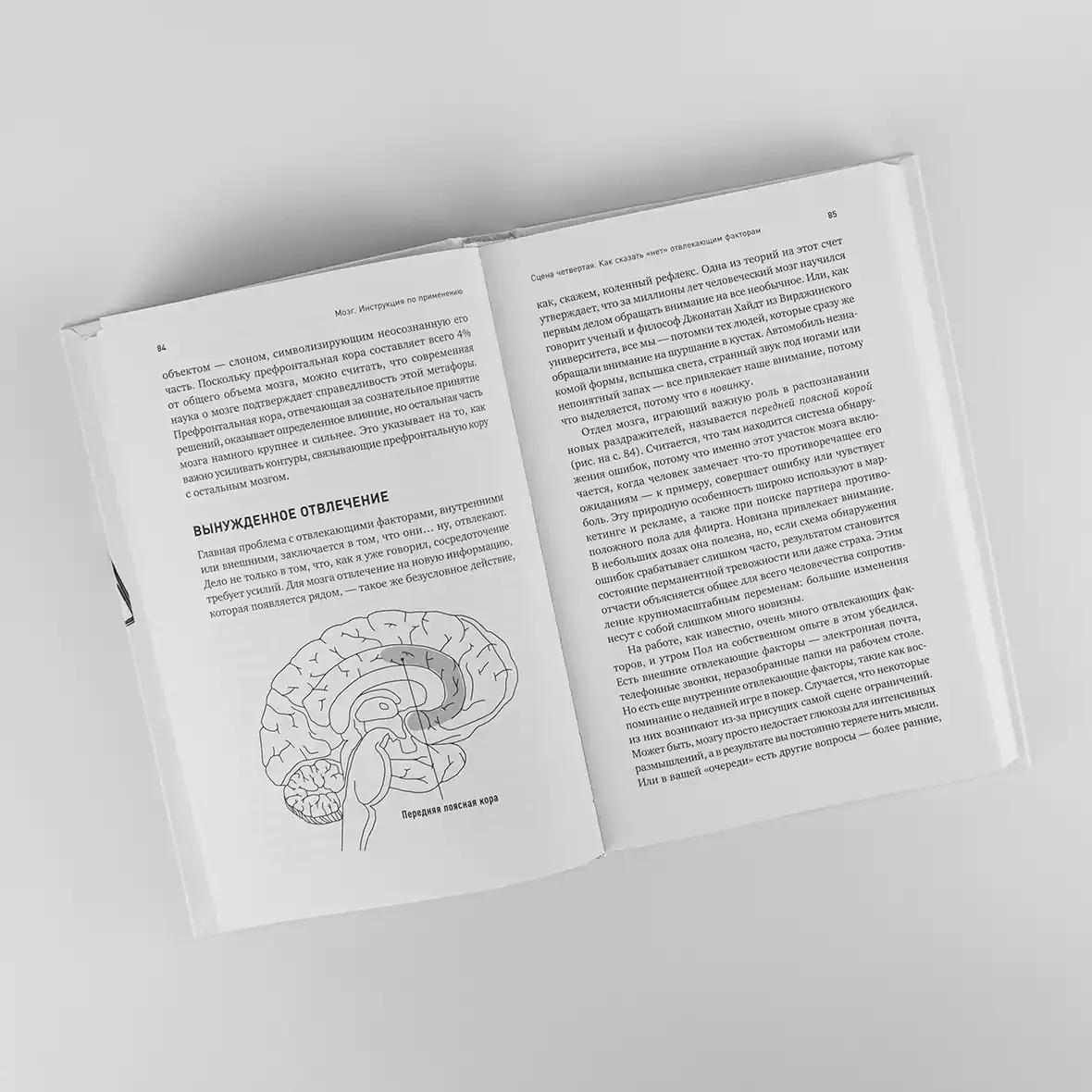 Нехудожественная книга Альпина Мозг. Инструкция по применению (Рок Дэвид, 9785961470208) — фото 2