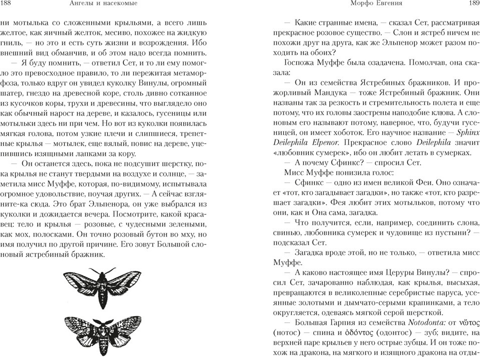 Художественная книга Азбука Ангелы и насекомые (Байетт А. 9785389312111) — фото 5