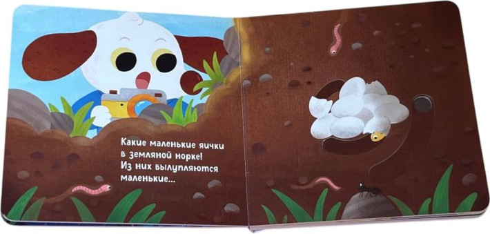Книжка-панорамка Эксмо Угадай, кто в яичке, твердая обложка — фото 3