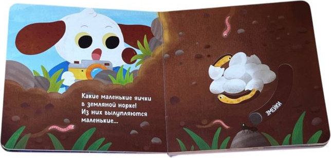 Книжка-панорамка Эксмо Угадай, кто в яичке, твердая обложка — фото 4