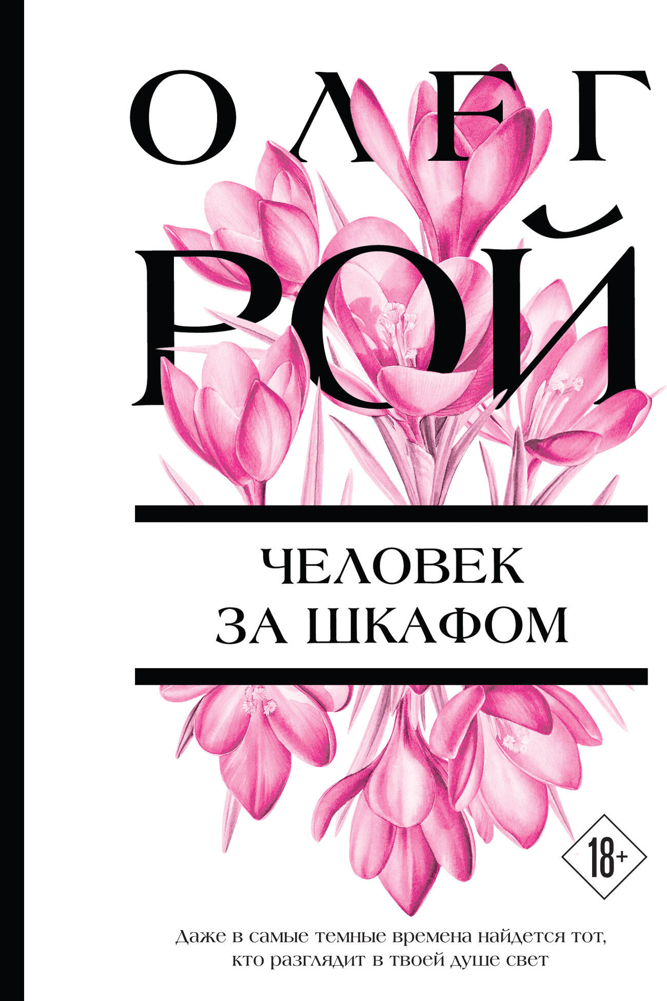 Художественная книга Эксмо Человек за шкафом (Рой О. 9785042319570)