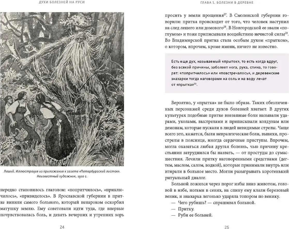 Нехудожественная книга МИФ Духи болезней на Руси (Нелихов Антон 9785002505319) — фото 3