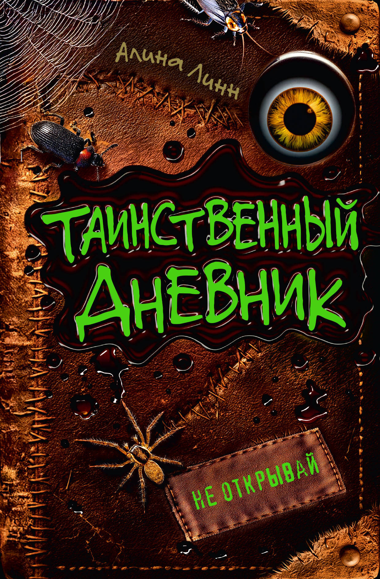 Художественная книга АСТ Таинственный дневник (Линн Алина)