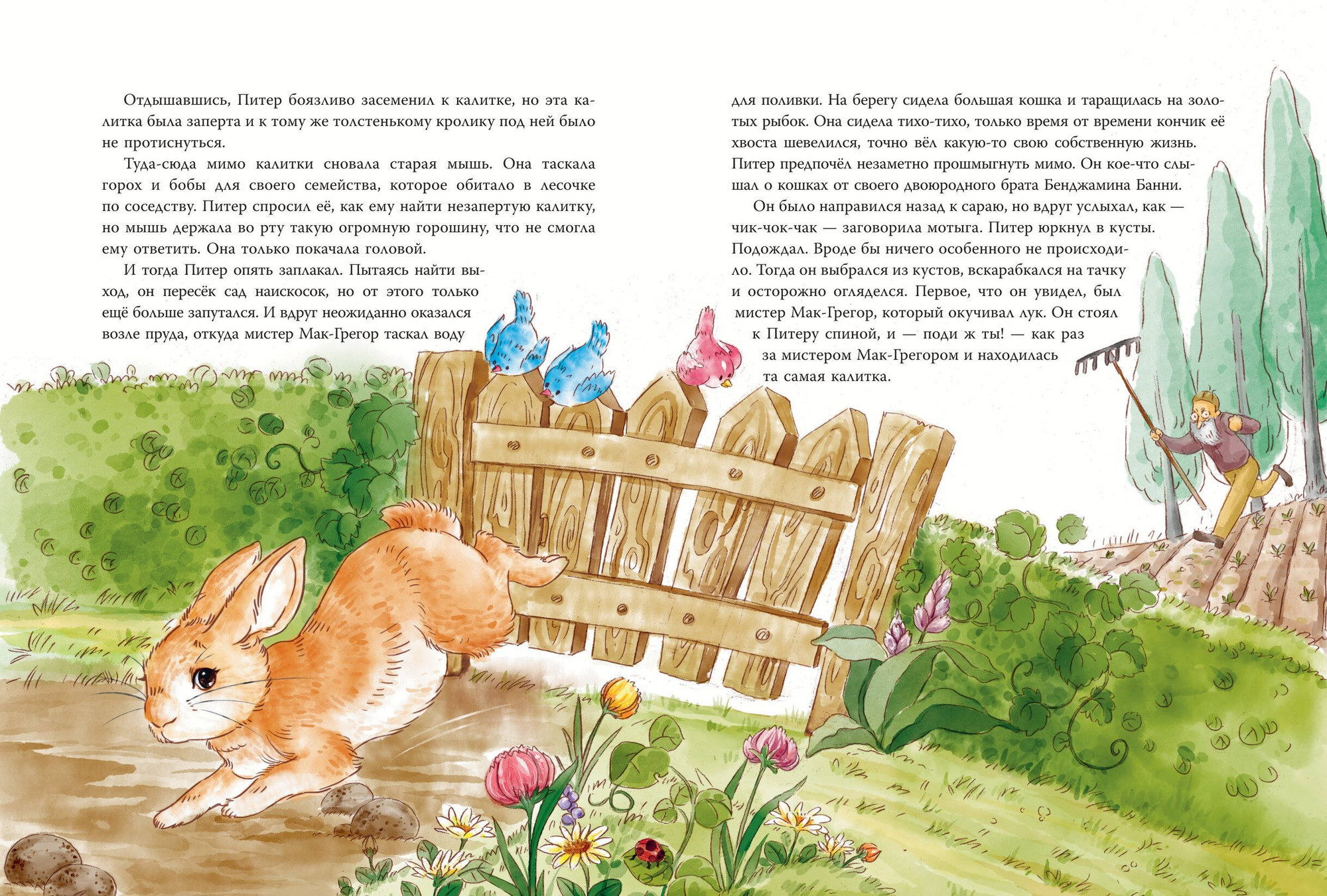 Художественная книга Эксмо Питер-кролик и другие (Поттер Б. 9785041953058) — фото 6