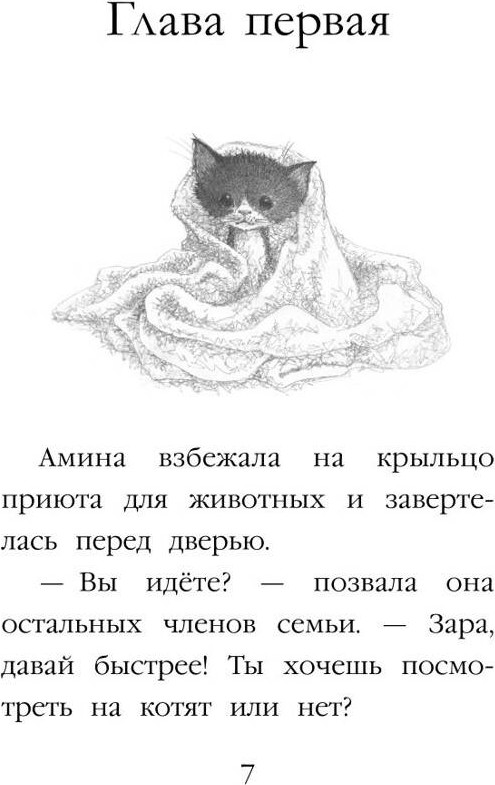 Художественная книга Эксмо Котенок Пикси, или Самый маленький друг (Вебб Х. 9785042104251) — фото 5