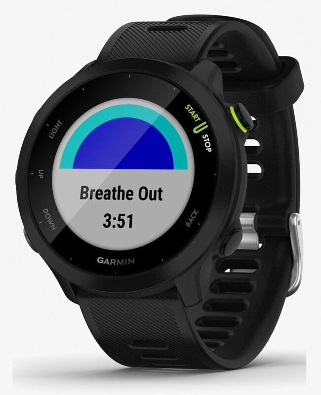 Умные часы Garmin Forerunner 55 / 010-02562-14 (черный) — фото 3