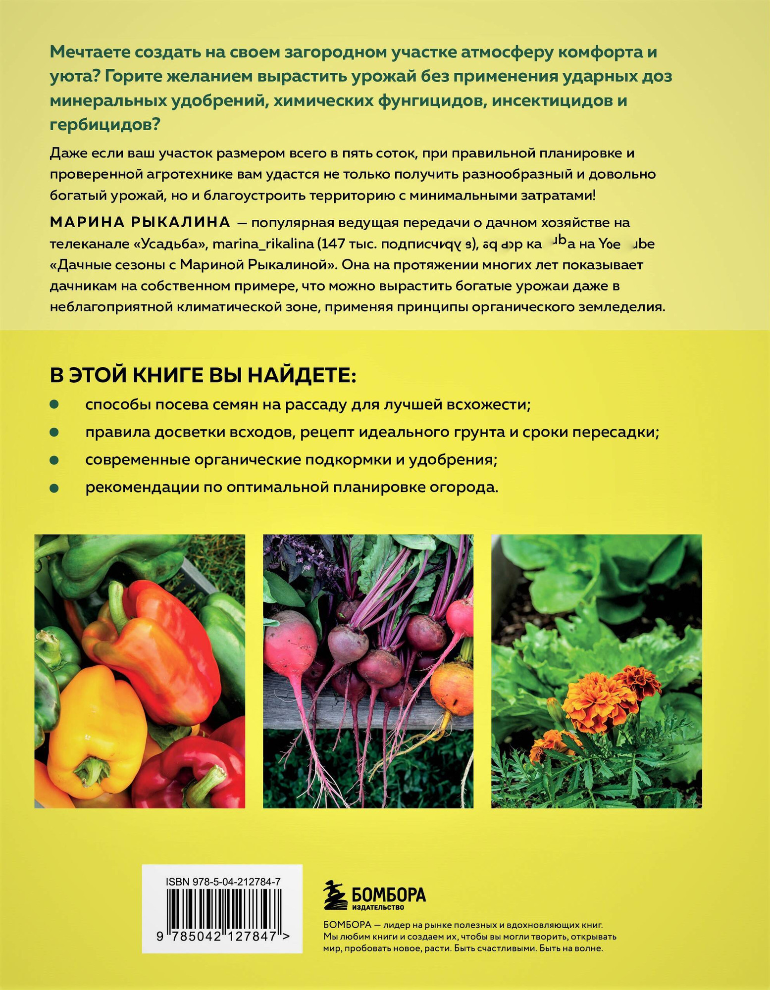 Нехудожественная книга Бомбора Больше чем 5 соток (Рыкалина М. 9785042127847) — фото 2