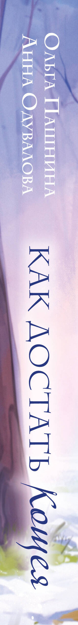 Художественная книга Эксмо Как достать Кощея (Одувалова А., Пашнина О. 9785042293924) — фото 3