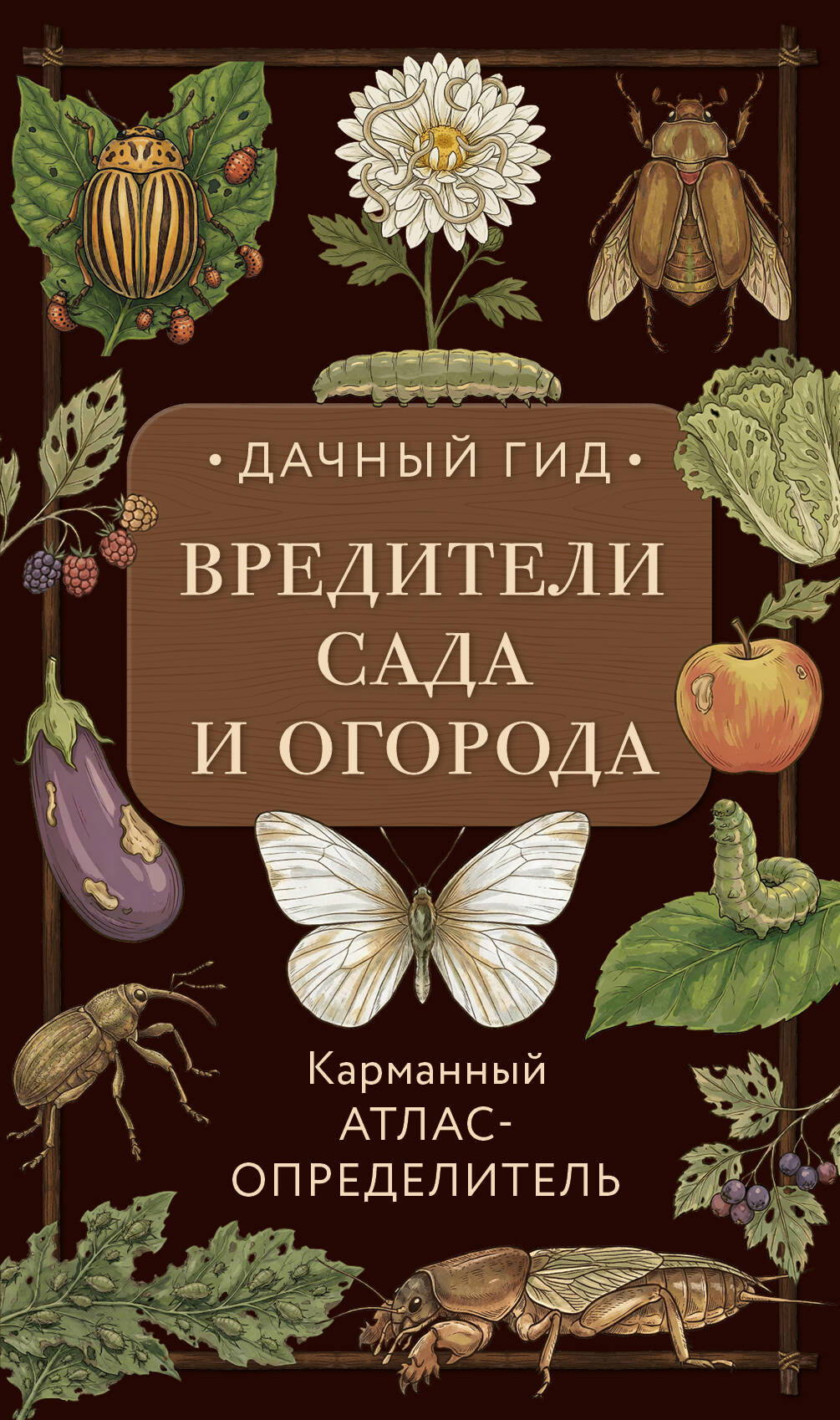 Нехудожественная книга Эксмо Вредители сада и огорода. Карманный атлас-определитель (Яблонева Ирина 9785042129735)