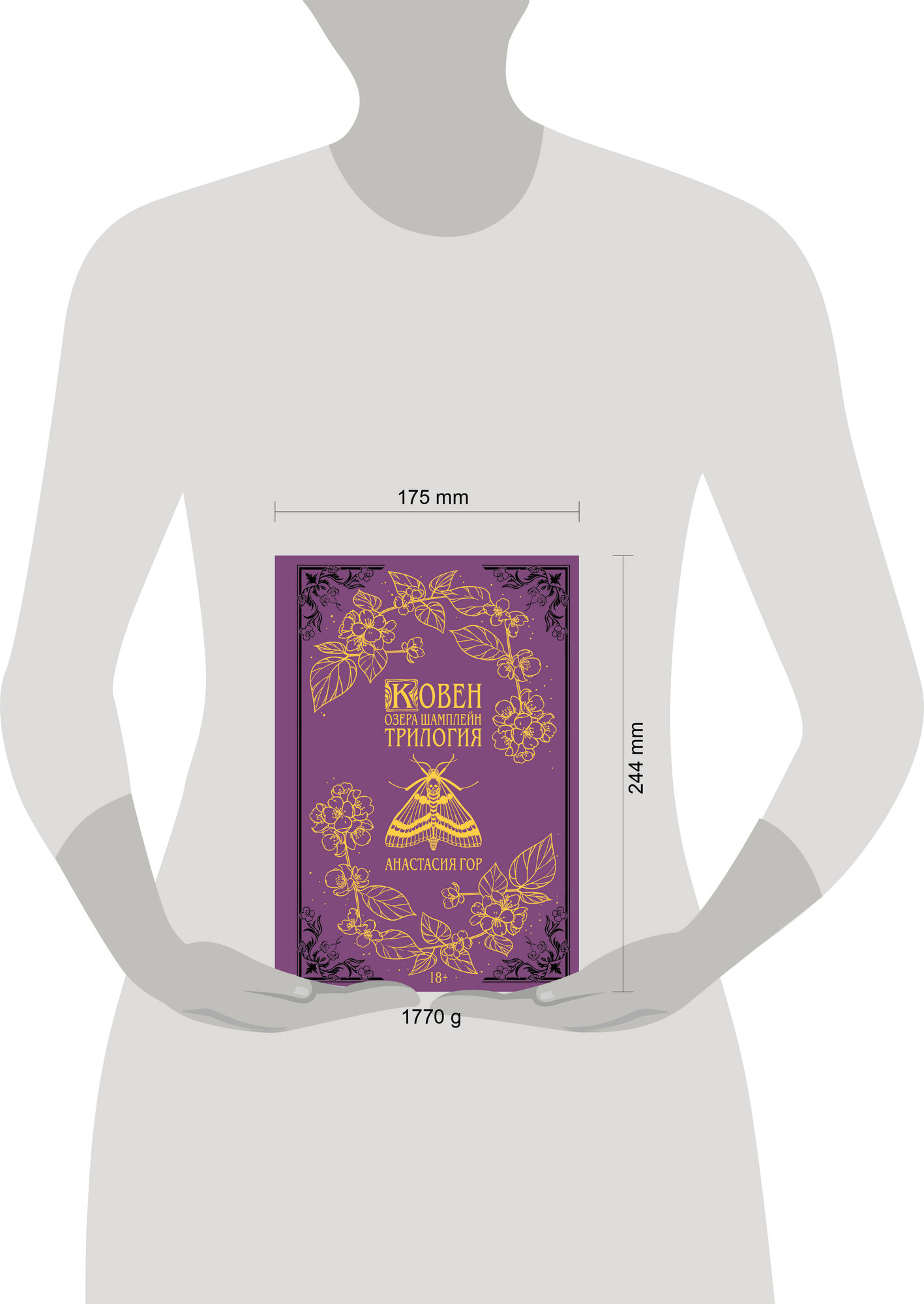Художественная книга Черным-бело Ковен озера Шамплейн (Гор А. 9785042313110) — фото 4