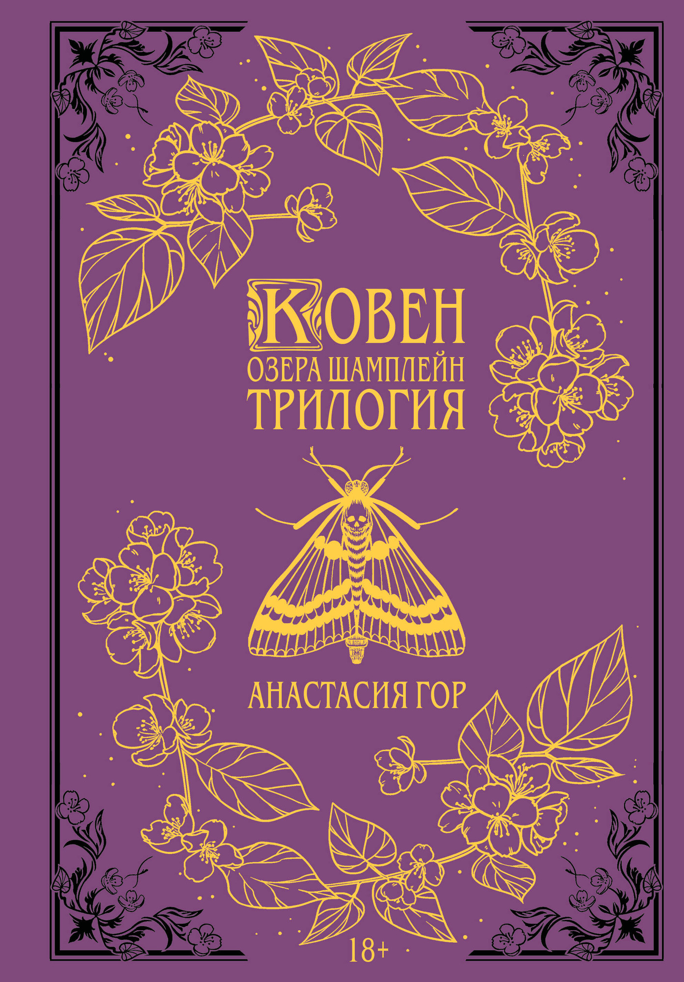 Художественная книга Черным-бело Ковен озера Шамплейн (Гор А. 9785042313110)