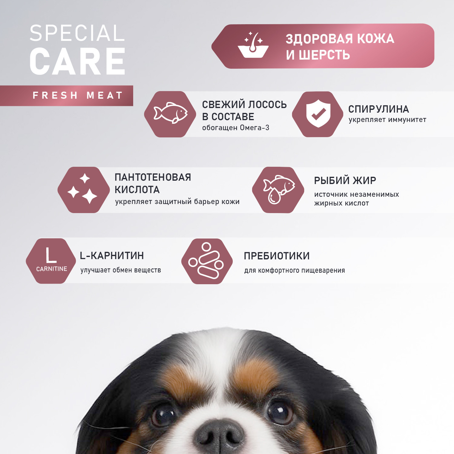 Сухой корм для собак Award Special Care Sensitive Skin&Coat свежий лосось (12кг) — фото 5