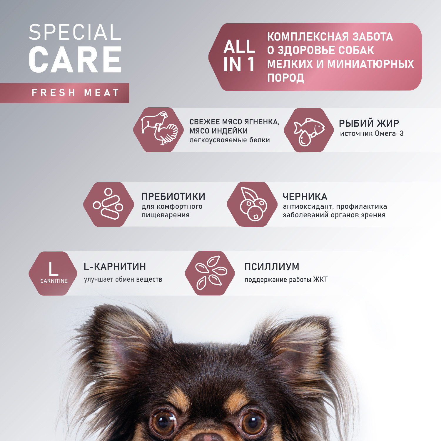 Сухой корм для собак Award Special Care Toy Breed Support мясо ягненка (10кг) — фото 4