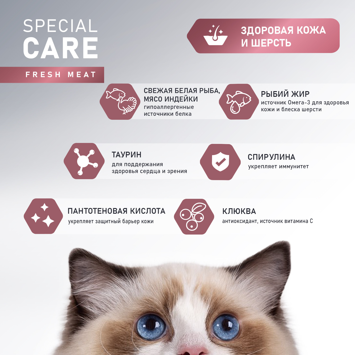 Сухой корм для кошек Award Special Care Sensitive Skin&Coat (1.5кг) — фото 5