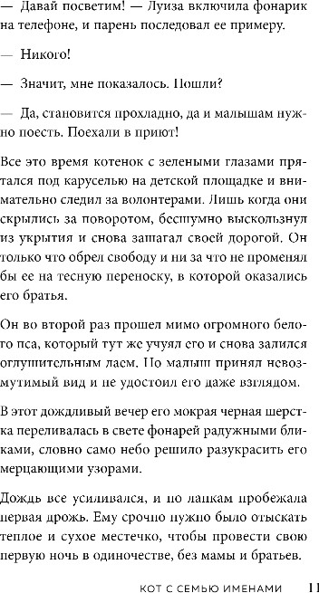 Художественная книга Бомбора Кот с семью именами, твердая обложка (Сантаити Федерико) — фото 6