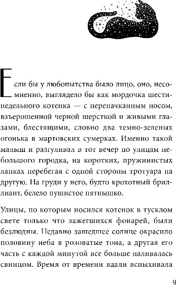 Художественная книга Бомбора Кот с семью именами, твердая обложка (Сантаити Федерико) — фото 4