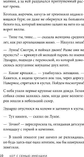 Художественная книга Бомбора Кот с семью именами, твердая обложка (Сантаити Федерико) — фото 5