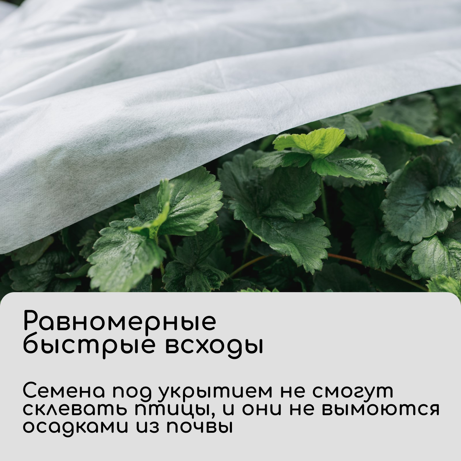 Укрывной материал GREENGO 5x3.2м плотность 20г/м2 Спанбонд с УФ-стабилизатором (белый) — фото 5