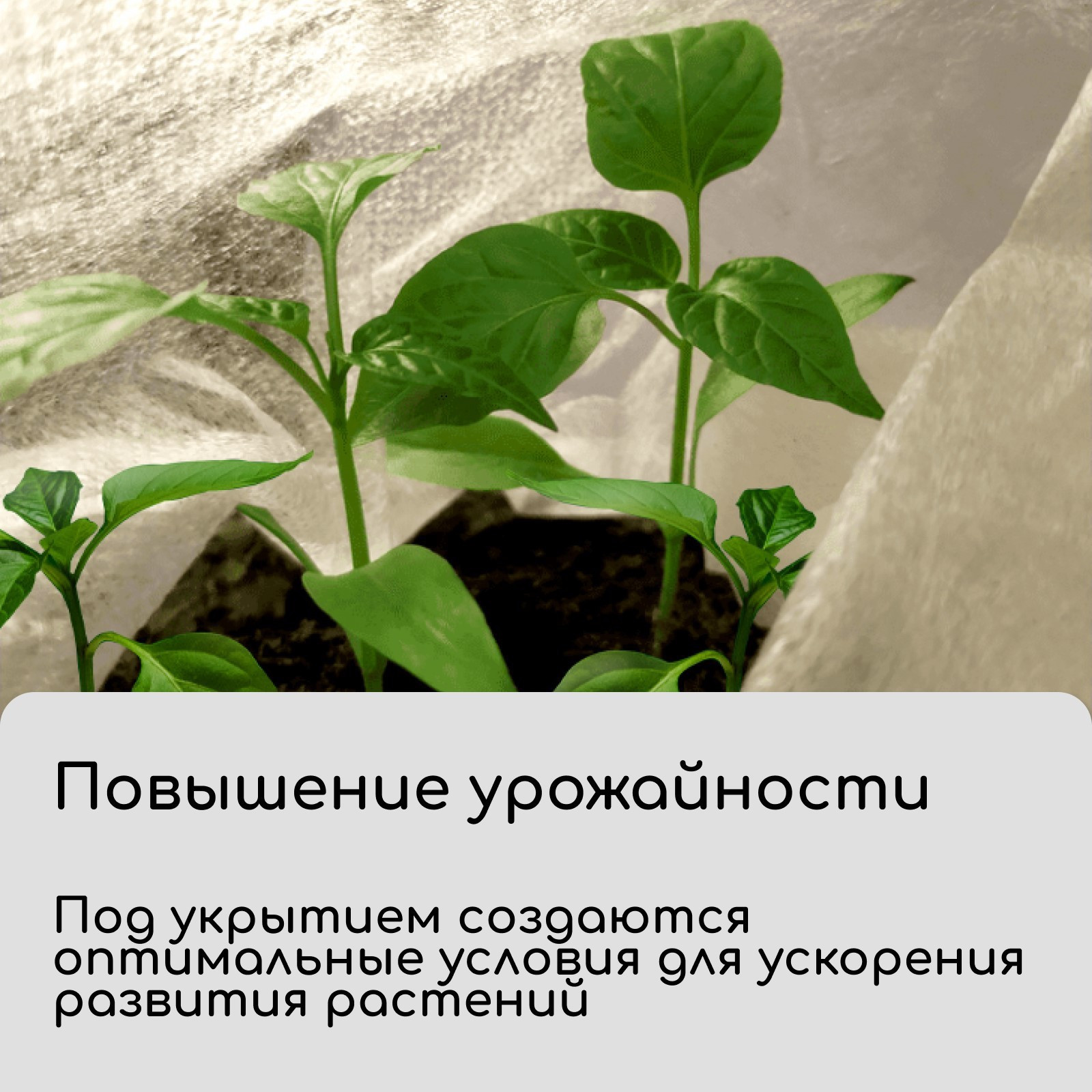 Укрывной материал GREENGO 5x3.2м плотность 20г/м2 Спанбонд с УФ-стабилизатором (белый) — фото 4