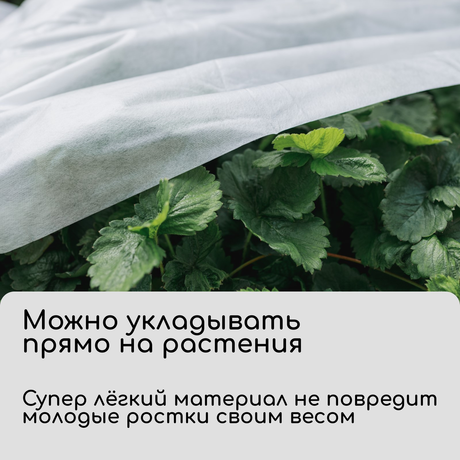 Укрывной материал GREENGO 5x3.2м плотность 20г/м2 Спанбонд с УФ-стабилизатором (белый) — фото 3