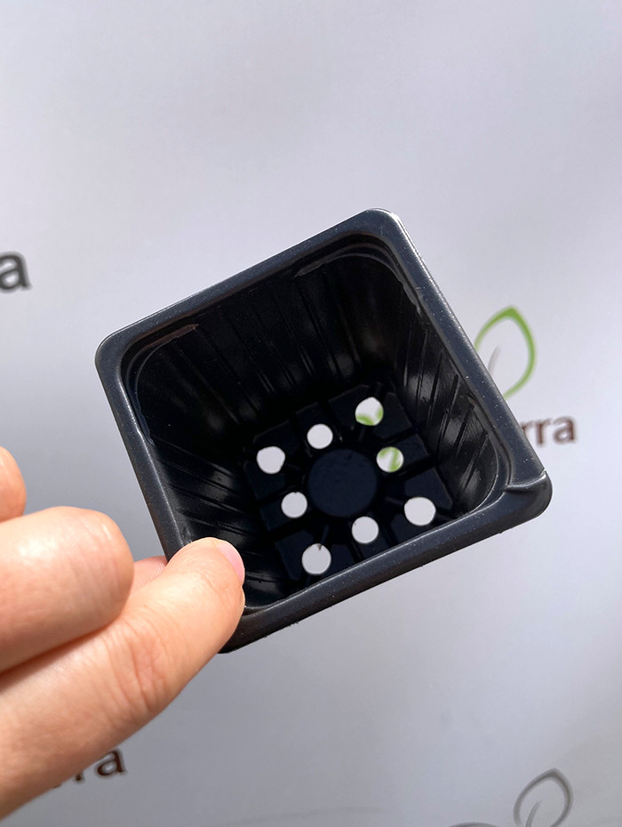 Набор горшков для рассады GreenTerra Формованный 7х7х7 (200мл, 100шт) — фото 6