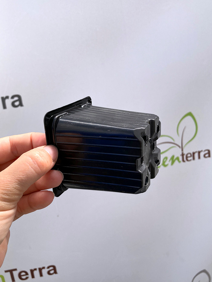 Набор горшков для рассады GreenTerra Формованный 7х7х7 (200мл, 100шт) — фото 4