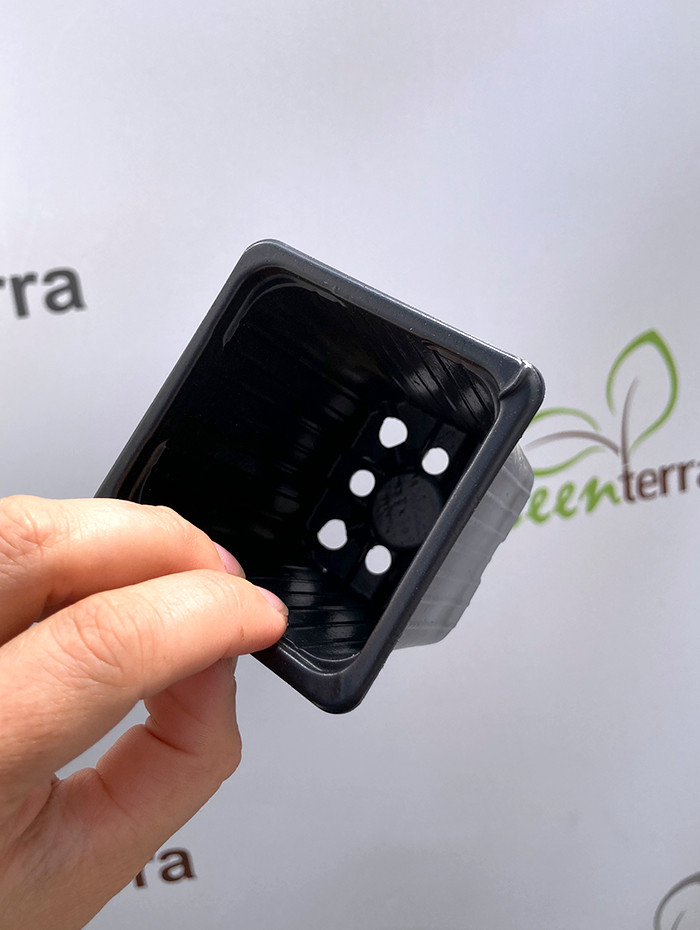 Набор горшков для рассады GreenTerra Формованный 7х7х7 (200мл, 100шт) — фото 2