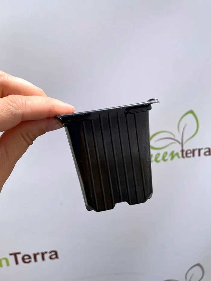 Набор горшков для рассады GreenTerra Формованный 7х7х7 (200мл, 100шт) — фото 7