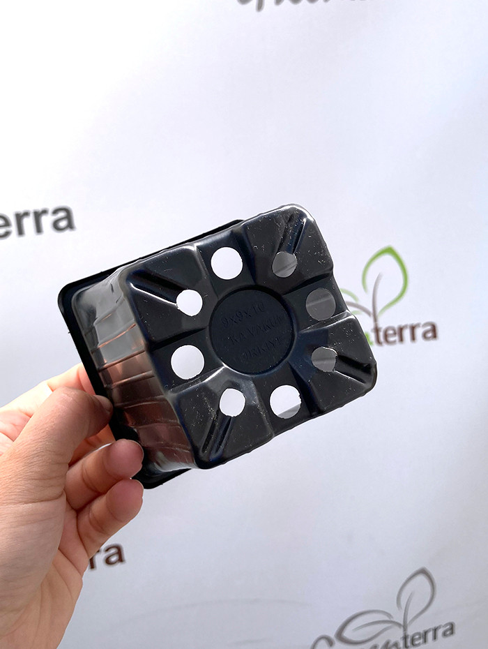 Набор горшков для рассады GreenTerra Формованный 9х9х10 (550мл, 100шт) — фото 3