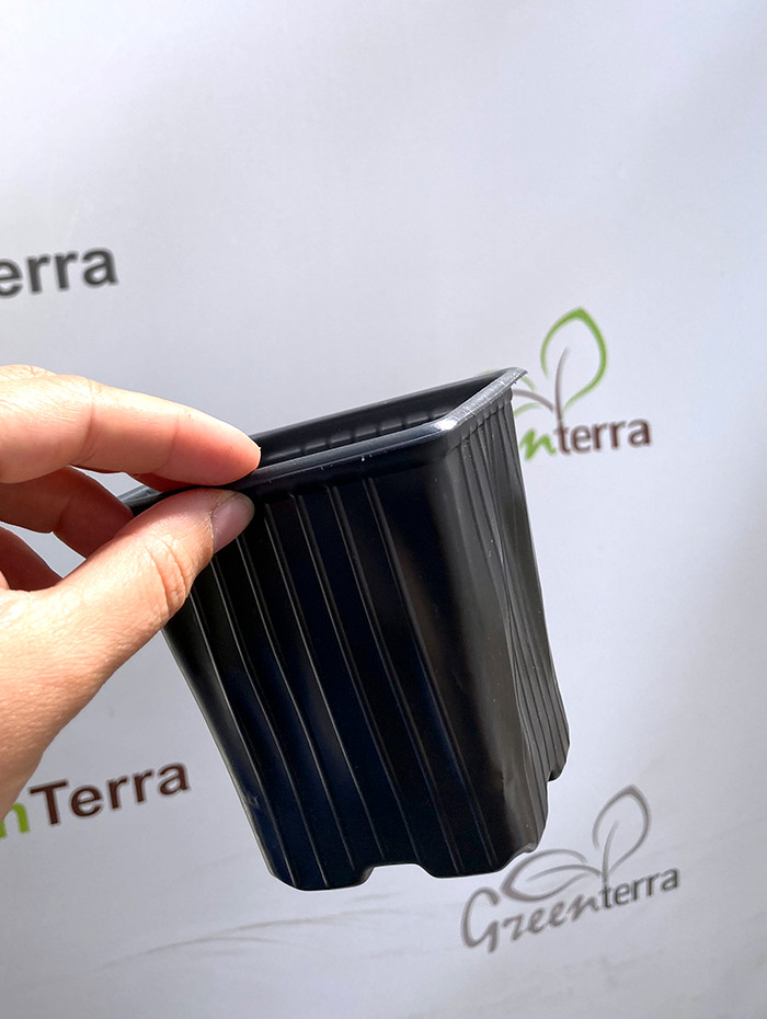 Набор горшков для рассады GreenTerra Формованный 9х9х10 (550мл, 100шт) — фото 6