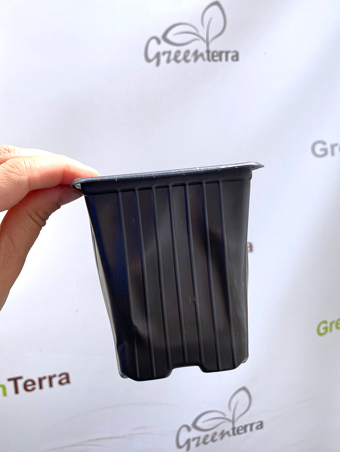 Набор горшков для рассады GreenTerra Формованный 9х9х10 (550мл, 100шт) — фото 2