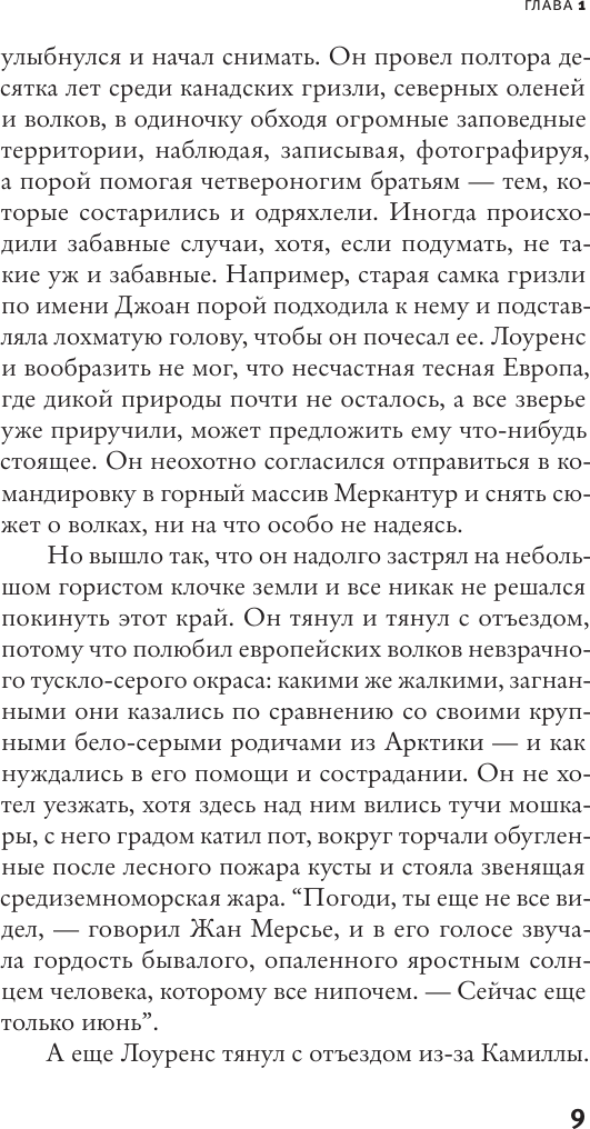 Художественная книга АСТ Человек наизнанку (Варгас Ф. 9785171790165) — фото 5