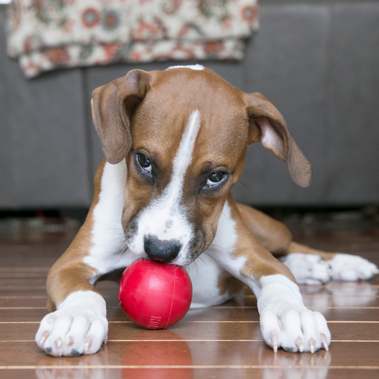 Игрушка для собак KONG Ball with Hole KB1 / 223481 — фото 5