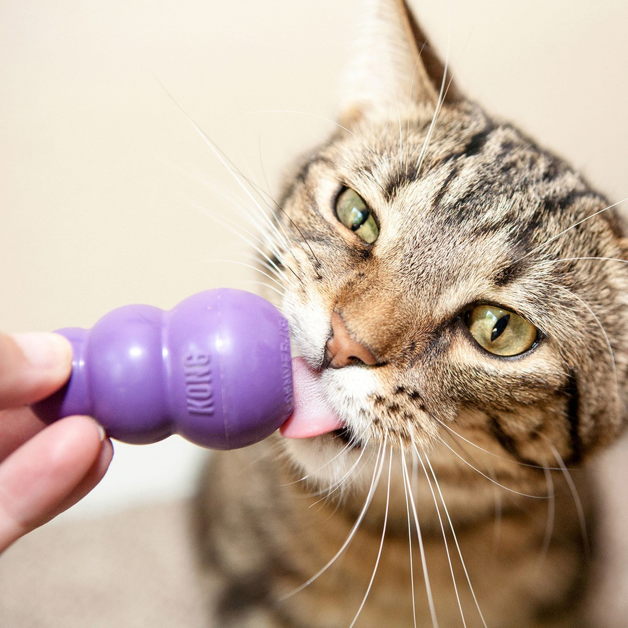 Игрушка для кошек KONG Kitty / 256816 — фото 4