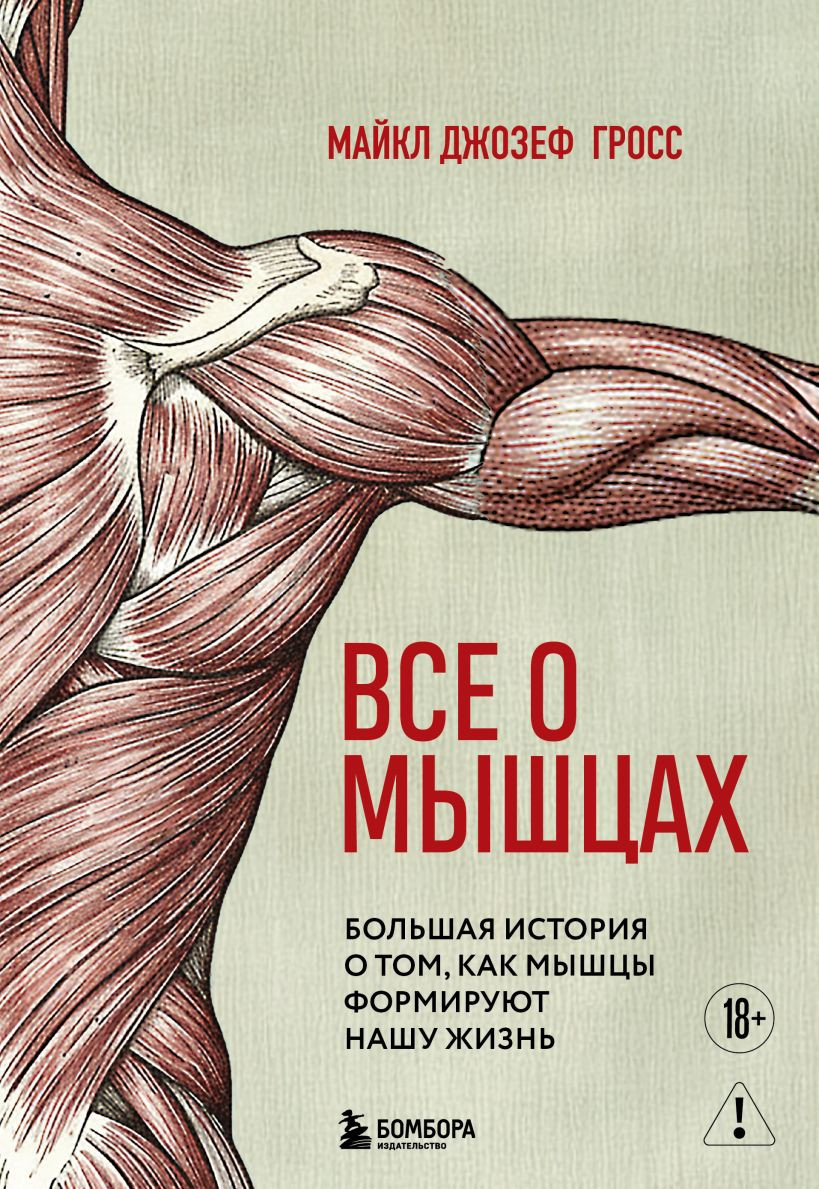 Нехудожественная книга Бомбора Все о мышцах (Гросс М. 9785042240768)