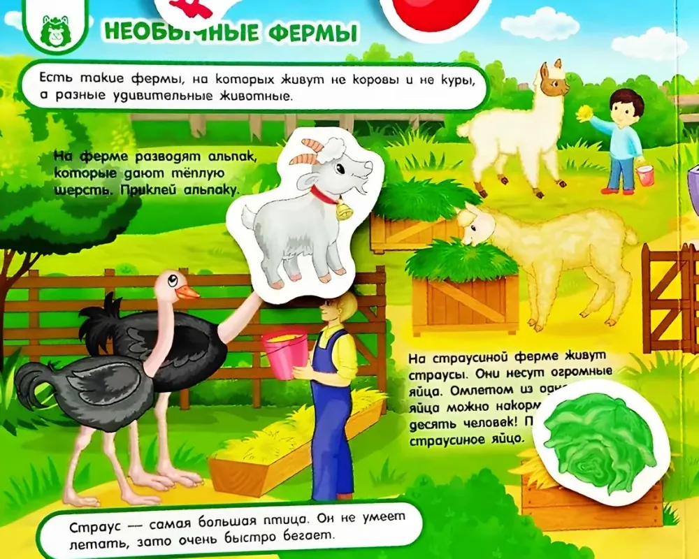 Развивающая книга Росмэн На ферме. Книга с липучками, твердая обложка — фото 5