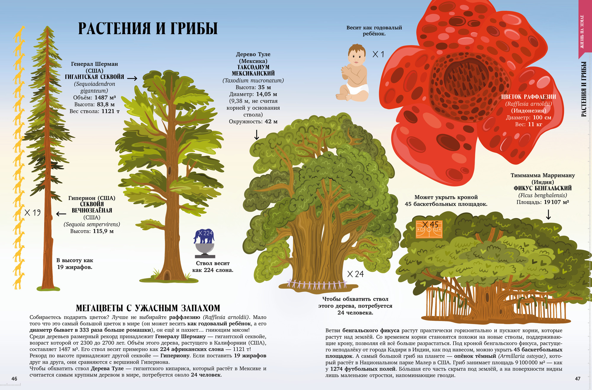 Энциклопедия CLEVER Земля от атома до галактики. Масштабы мира в цифрах (Минольо Андреа) — фото 6