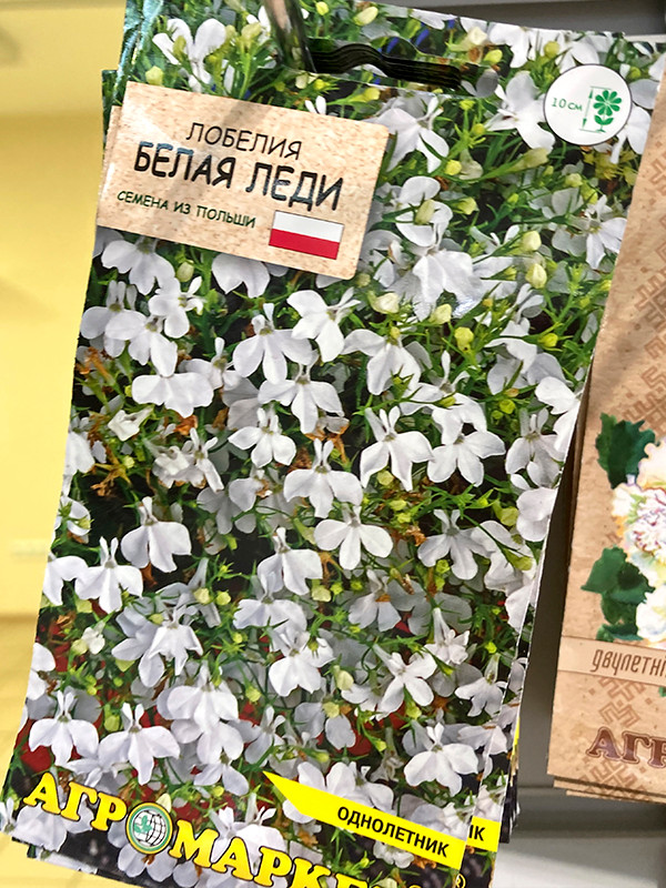 Семена цветов Агромаркет Лобелия эринус Белая леди (0.1г) — фото 4